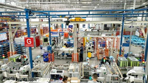 濰坊綜合保稅區 以設備更新和技術交流為抓手，全力賦能企業創新發展